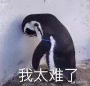 遂平阳光天地,遂平阳光天地小区