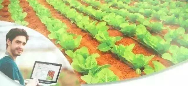 物联网水肥一体化以色列,菜吧家庭农场运营