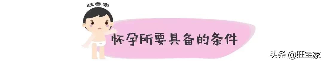 怀孕没那么神秘,所以这么多人才着迷