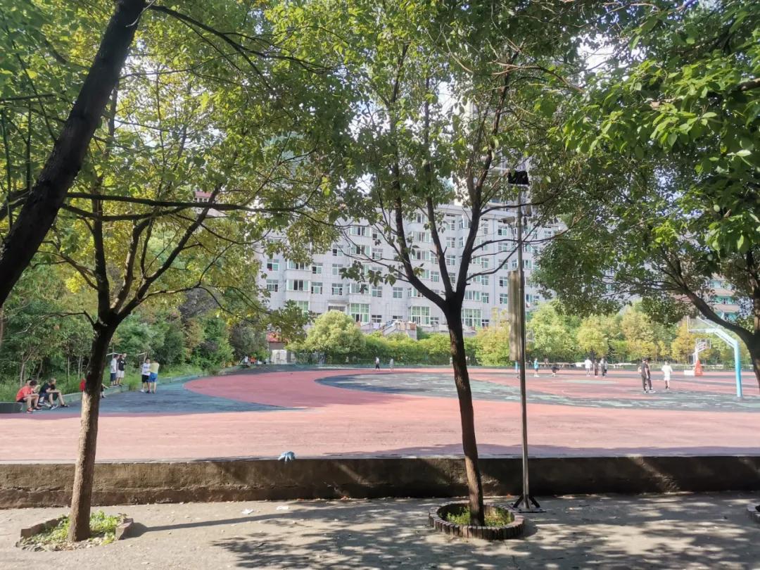 耒阳市正源学校开学时间,耒阳市正源中学曹思