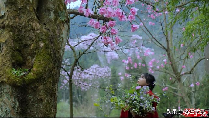 李子柒火了的视频,李子柒现身网红节却暴露真实颜值