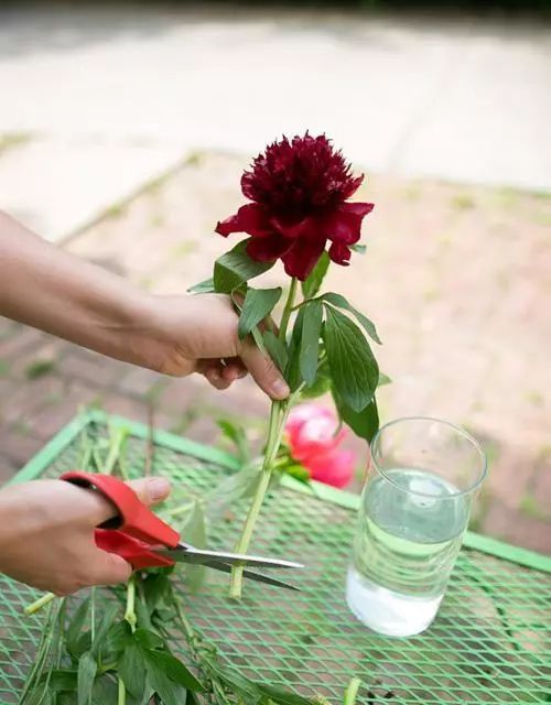 鲜花到了隔多久醒花最合适,刚收到的花蔫了怎么处理