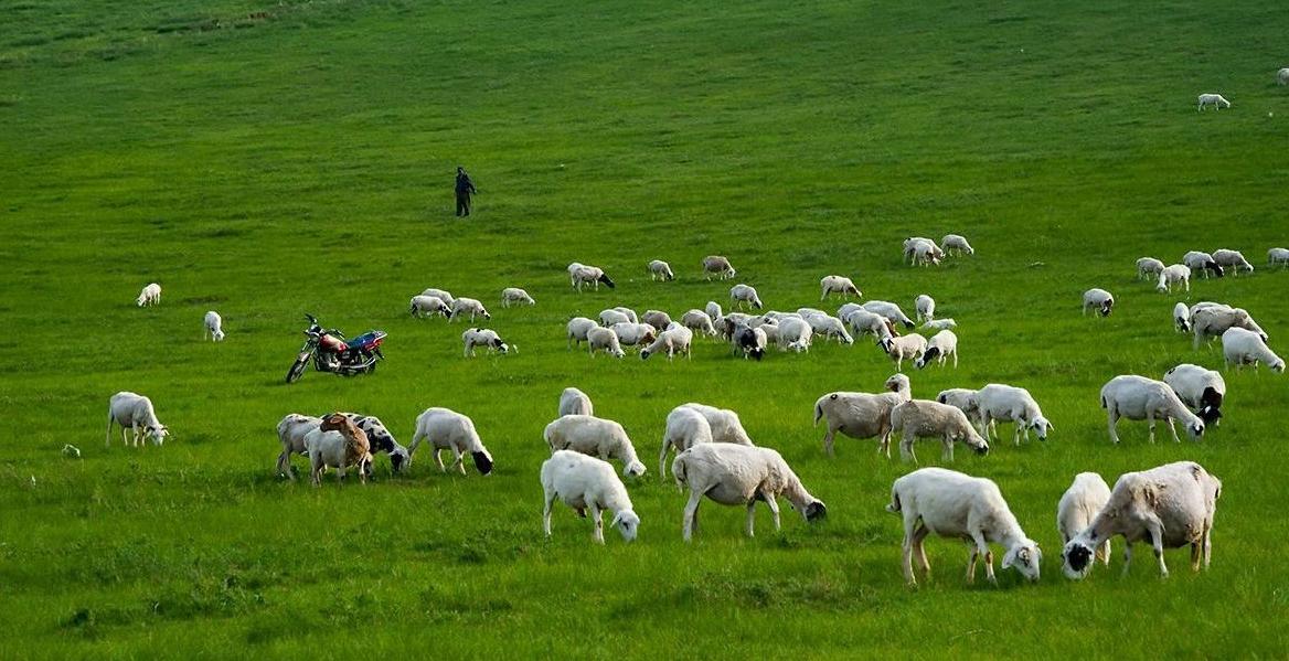 日本藏的一处宝藏被放羊娃发现,放羊娃发现日军物资