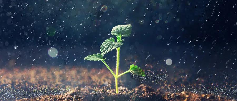 sle早期表现,sle有哪些危险因素应该避免