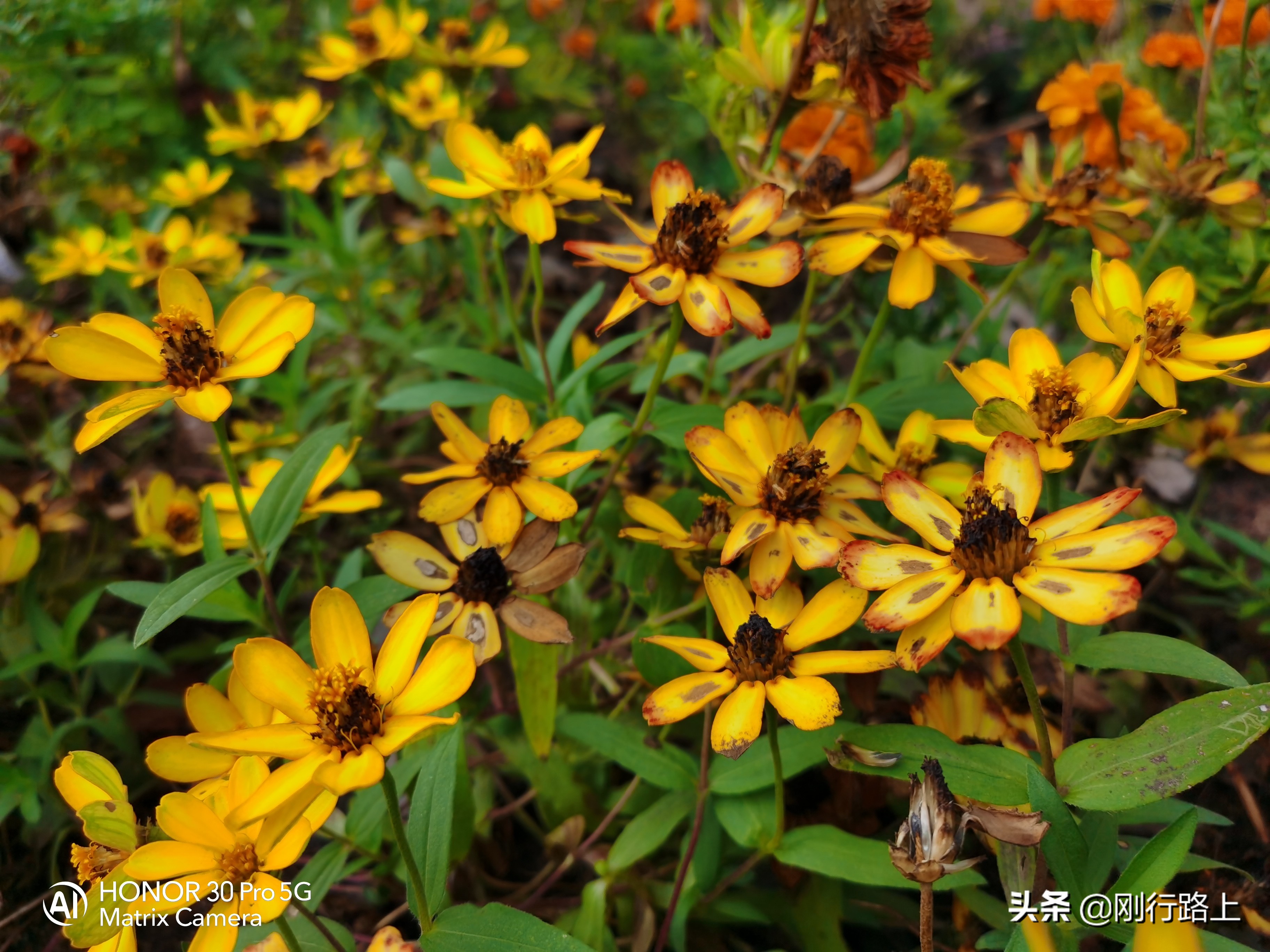 三亚风景美图美女,三亚风景美图高清壁纸