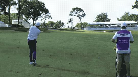 布恩斯8鸟零柏忌，与布拉德利并列4杆领跑，张新军遭淘汰