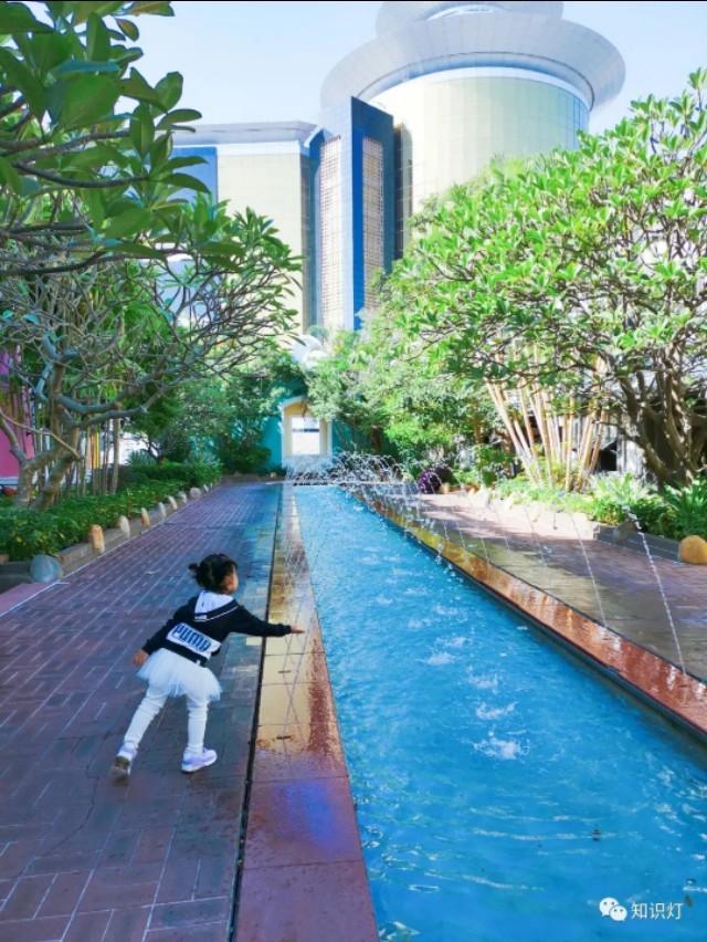 赌城简介,走进赌徒的内心世界