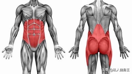 核心弱怎么强化,新手从哪一步开始练核心力量