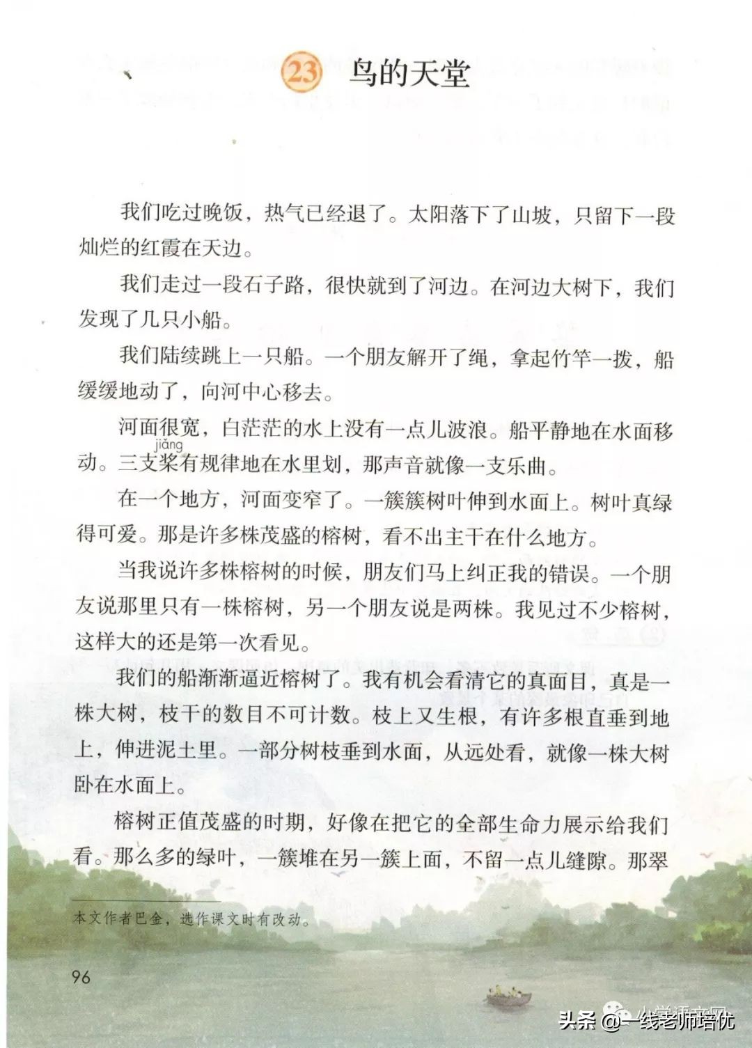 五年级上册语文23课鸟的天堂笔记,部编版五年级上册第23课鸟的天堂