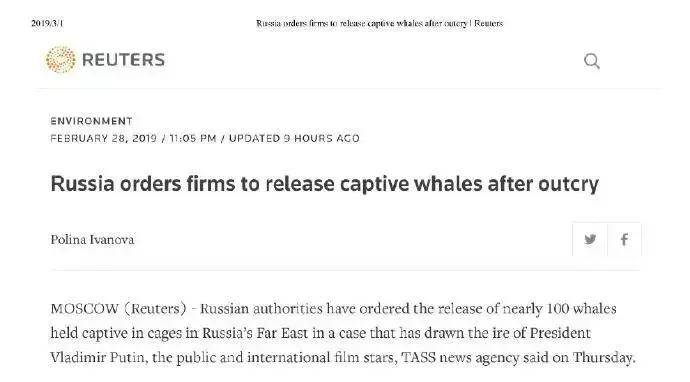 海洋馆的海洋动物表演,小孩子看的海洋动物视频