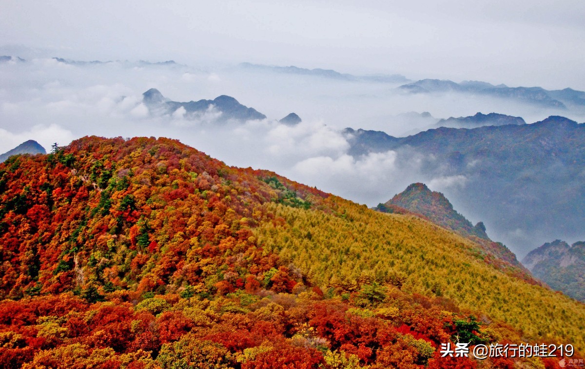 山西存在感最低的城市晋城,山西最有发展潜力的城市晋城