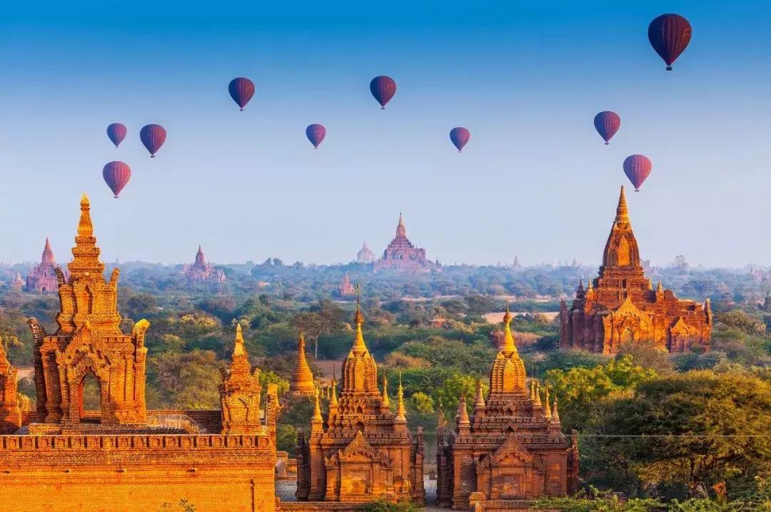 一粒种子的旅行中的冷知识,旅行冷知识