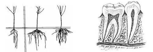 俞灏明牙龈上火原因,俞灏明牙龈上火了吗