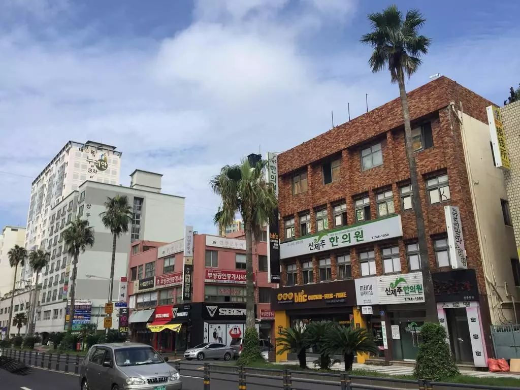 买张五百块机票就可以逃离没有冬天的广东