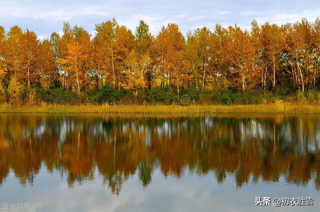 清丽早冬美诗五首赏读:杨柳不知秋已远,可怜冬景似春华
