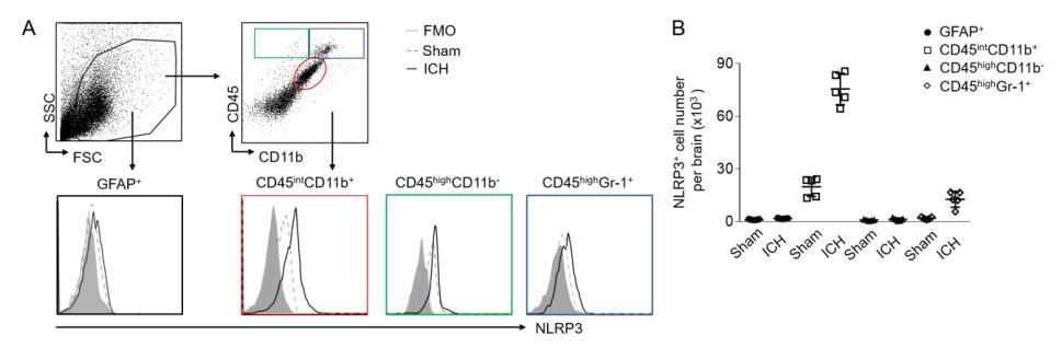 nlrp3抑制剂研究进展,nlrp3抑制剂临床