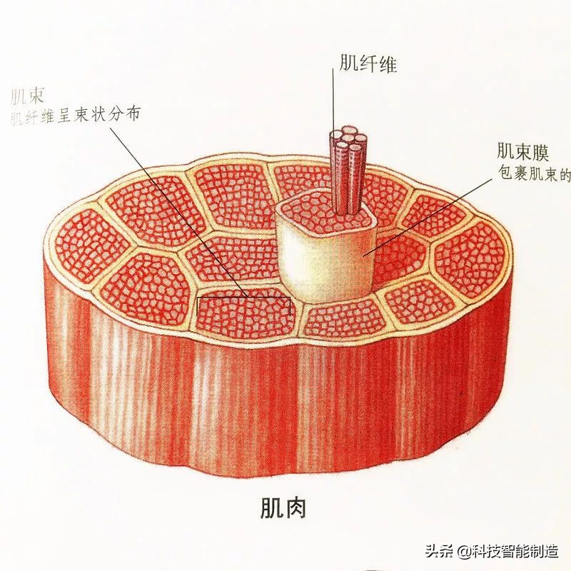 给家人宣讲健康知识记录,给父母科普健康知识小品
