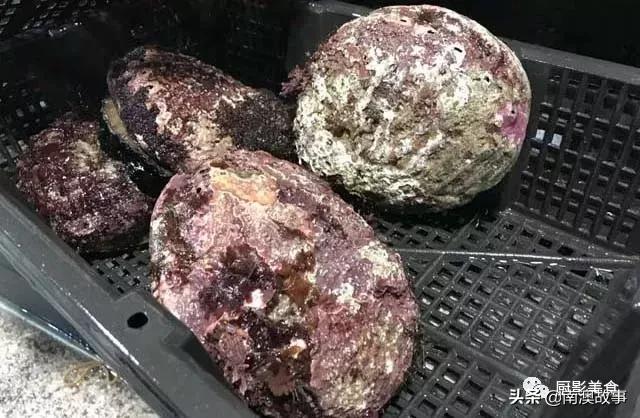 水煮贝壳类海鲜煮多久,海边海鲜用什么水煮好吃