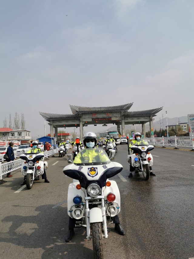 五朵金花百合,张家口市宣化5朵金花