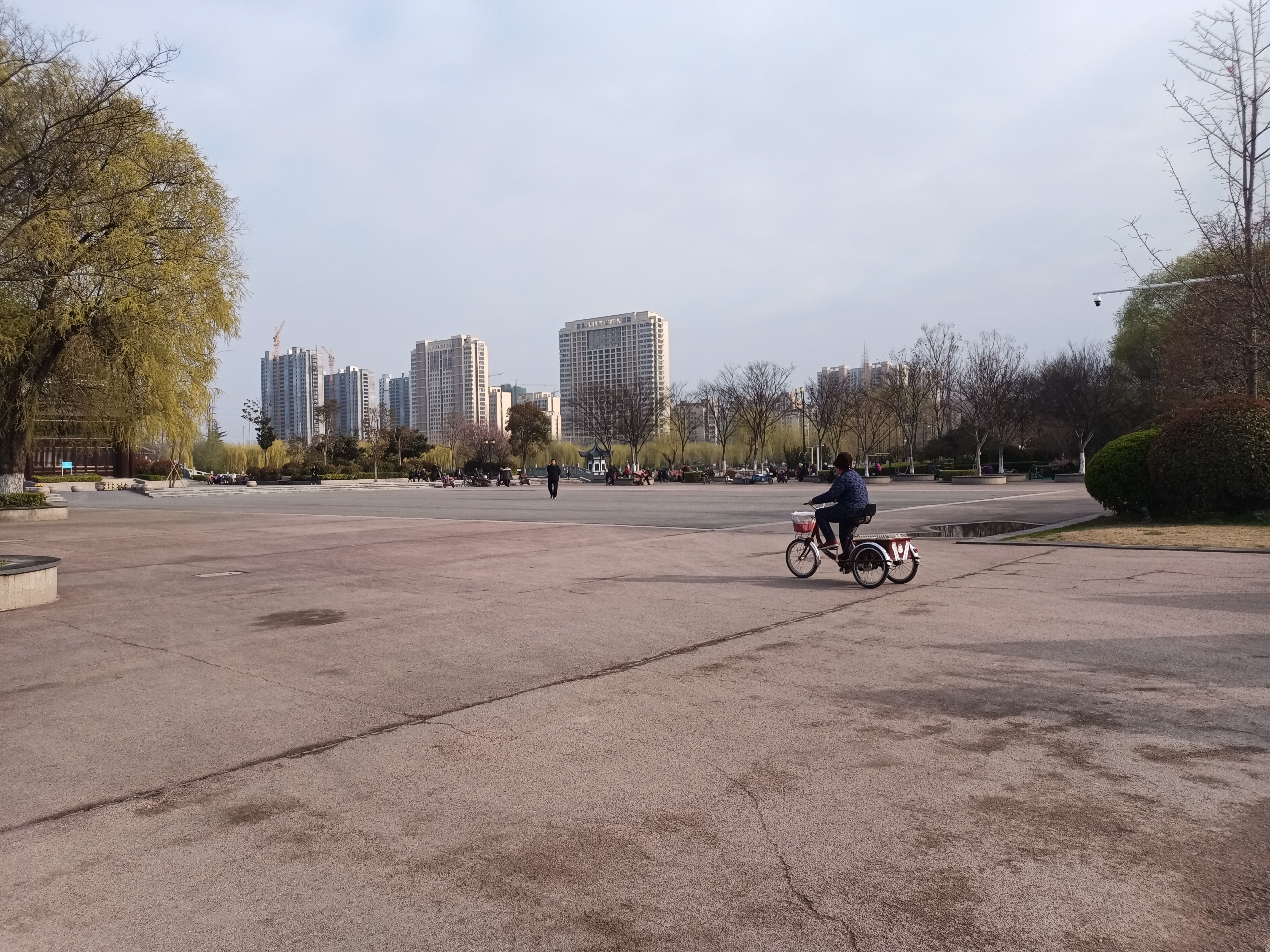 春暖花开正当时,丰县河滨公园成了很多丰县人的休闲胜地