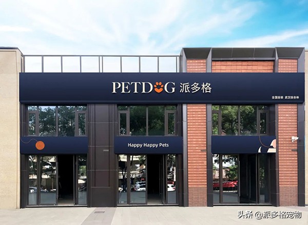 派多格宠物南京,派多格宠物学习美容多少钱