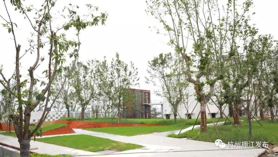 水泥厂大变样！滨江“西大门”的公园，预计下个月开园！