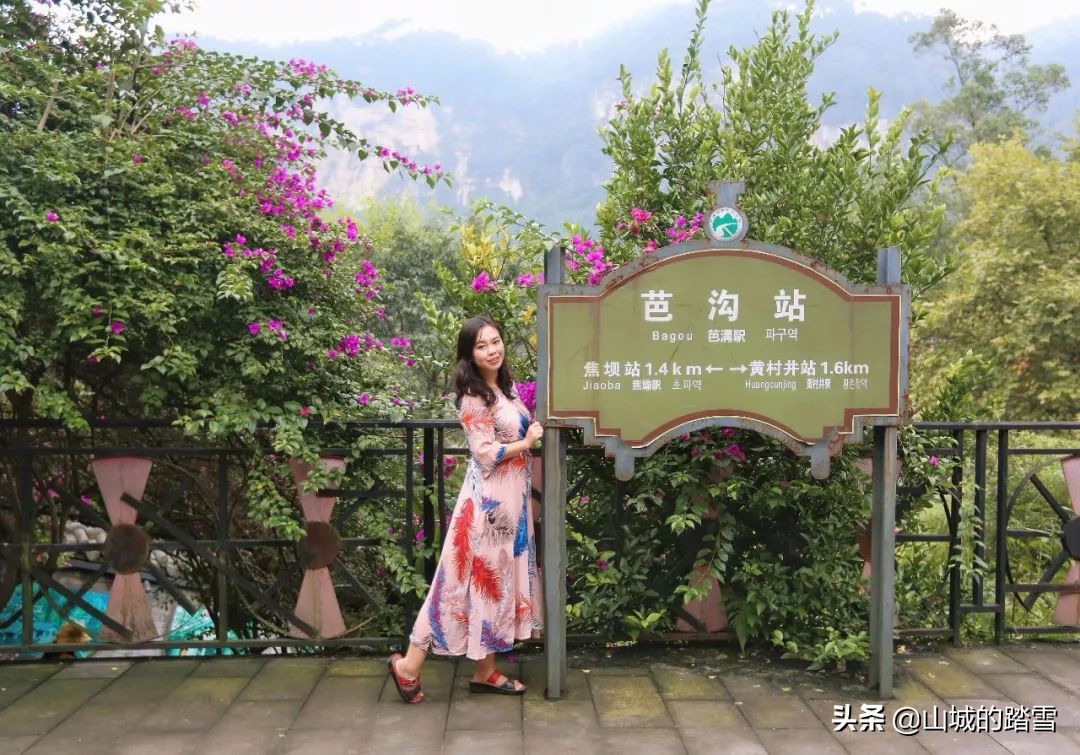 乐山嘉阳小火车值得去吗,嘉阳小火车与乐山大佛相隔多远