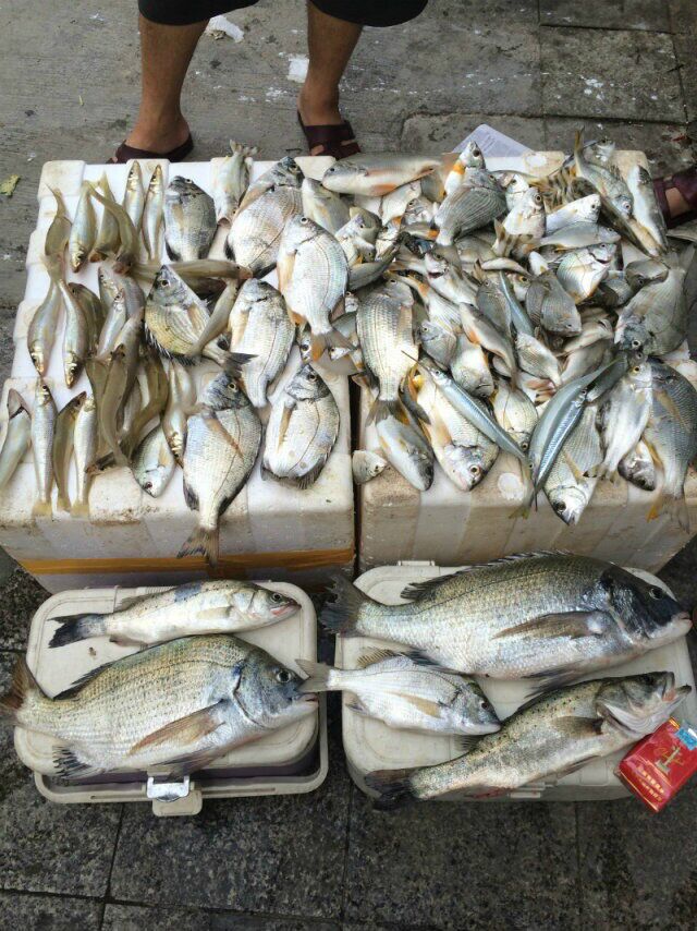 海钓赚最多钱的人,海钓有多烧钱