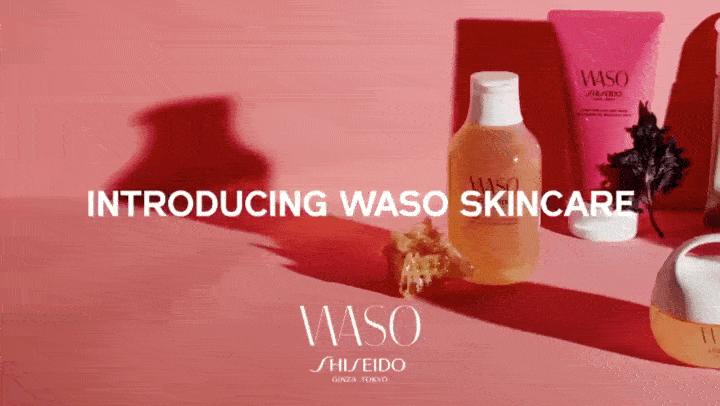 资生堂200元左右,资生堂200元以下