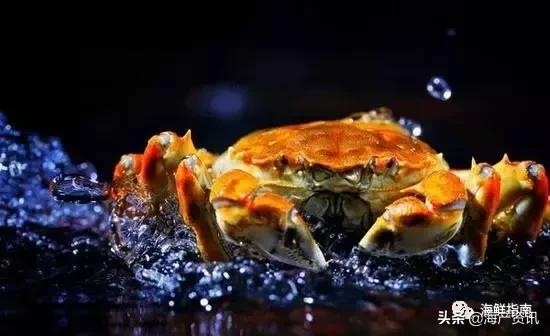 大闸蟹怎么吃才是最正确的,大闸蟹的正确吃法你知道吗