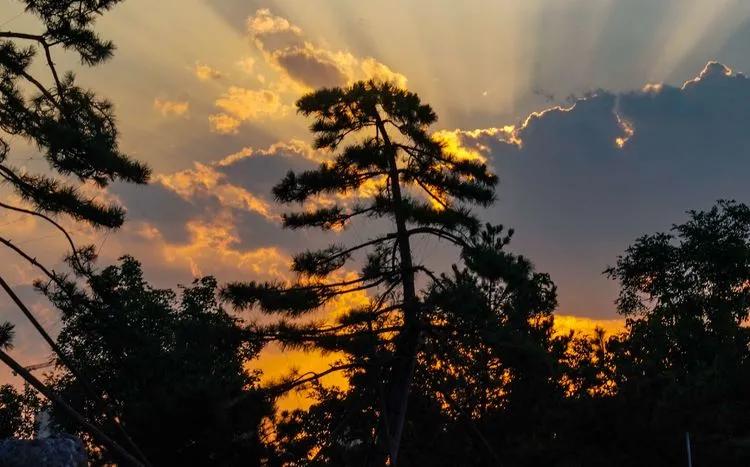 儿童乐园绿心公园,绿心公园儿童游乐区最新视频