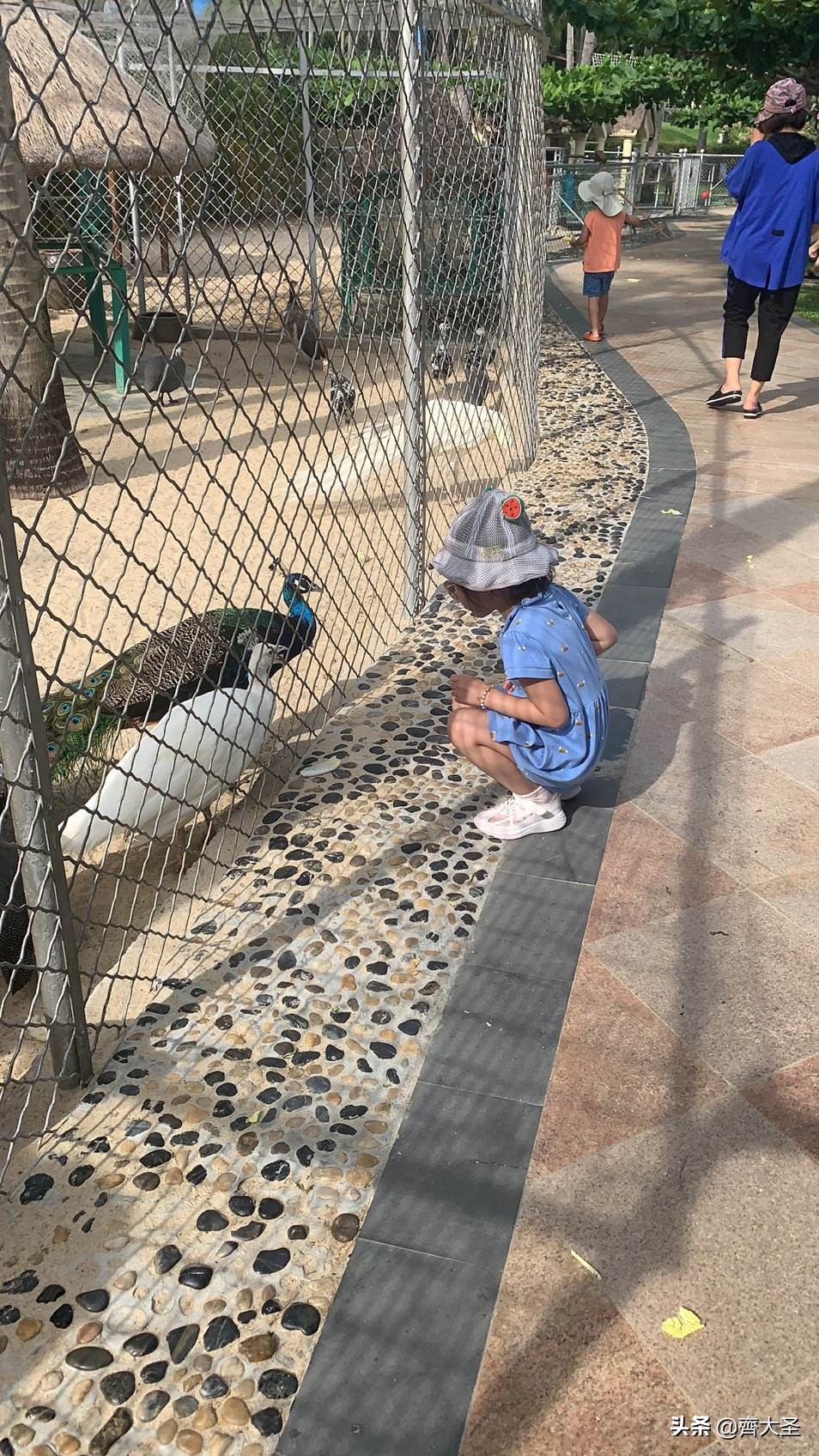 成都直飞三亚3天2晚亲子游攻略,三亚亲子游攻略3-6岁酒店平价