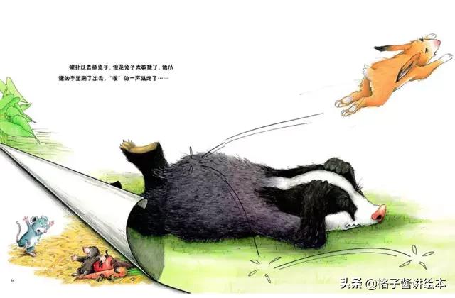 绘本獾的美餐思维导图,獾的美餐绘本故事图片