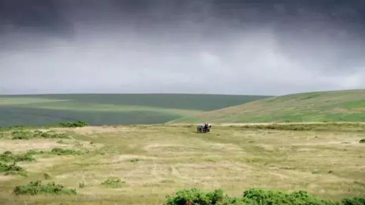 隐居深山30年以种地为生,隐居深山生活养动物