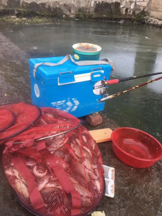 天凉了野钓该怎么钓,天热钓鲫鱼的正确方法