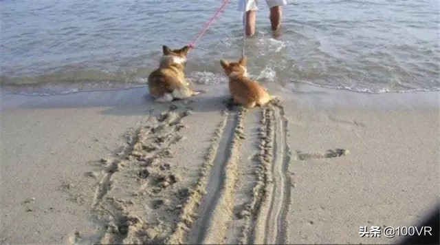 急刹车一脚踩死和点刹哪个有效,跑高速是急刹还是点刹