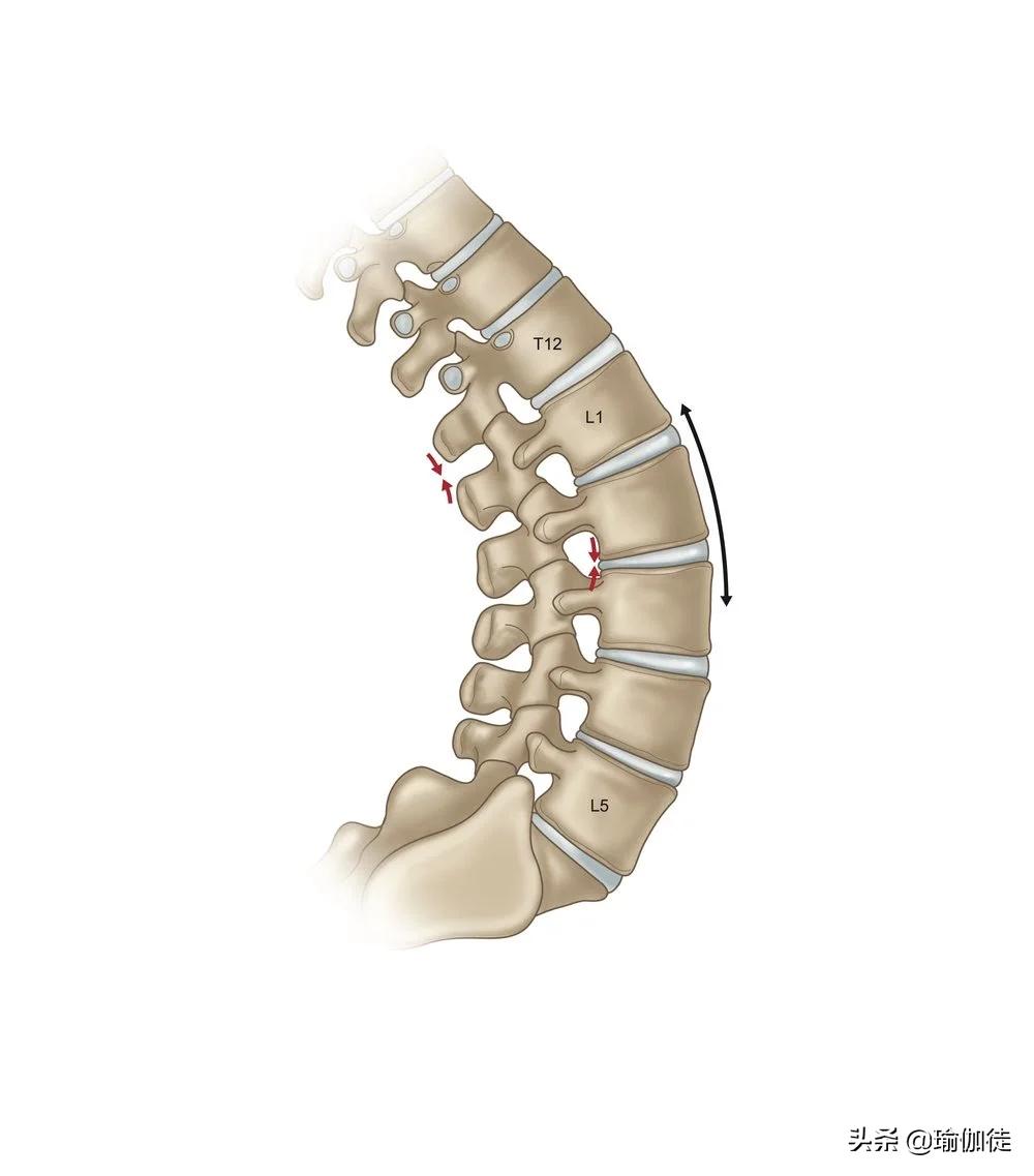 怎么练瑜伽才能缓解腰椎间盘突出,腰椎间盘突出怎么练瑜伽恢复
