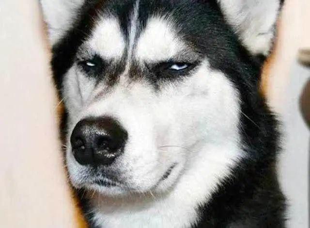 你老公会偷用你的化妆品吗?网友的回复炸天了！哈哈哈