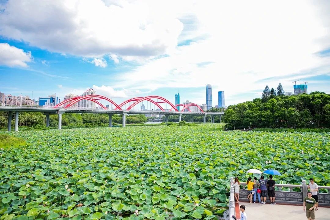 最美湖泊小众风景,最美湖泊西湖