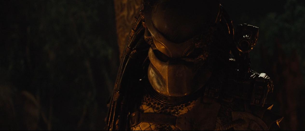 铁血战士系列解析,铁血战士形态全部解析