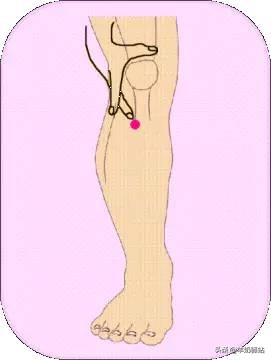 瘦子如何增重增肥但又不胖,怎么让一个瘦子快速胖起来