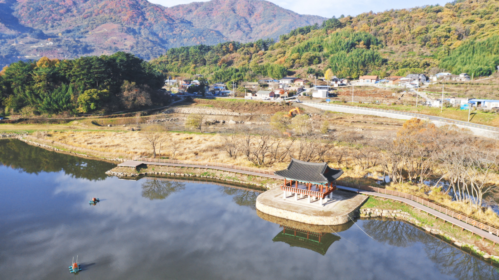 哇,人参随便挖!韩国还能这么玩
