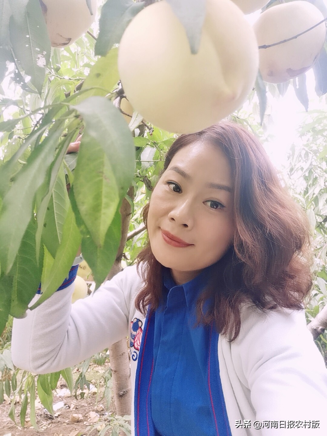 “真硒”土地上收获“珍稀”财富——记平顶山绿禾农业科技开发有限公司总经理秦丽敏