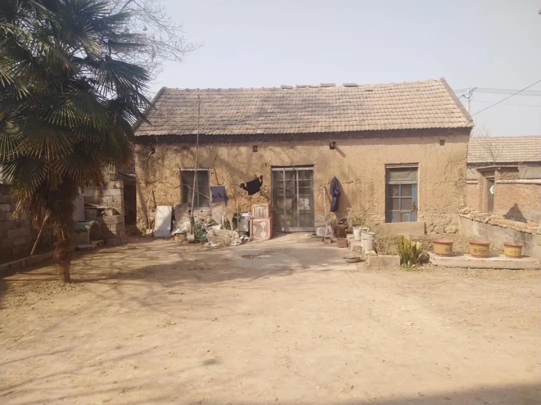 微山岛与京杭大运河,京杭大运河附近小院