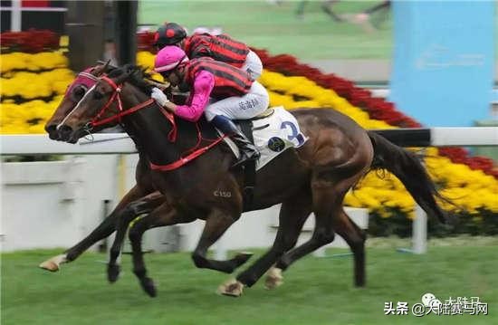 揭秘职业赛马骑师一年能赚多少钱,在马场做马蹄师收入如何