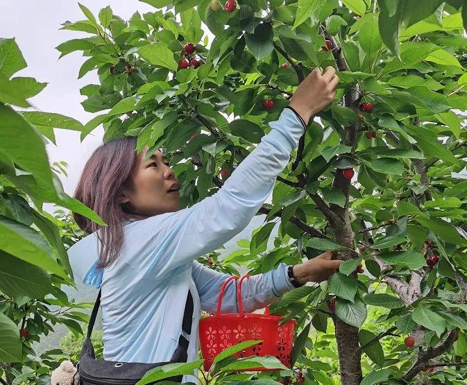 夏日叠词有哪些,夏日迭部