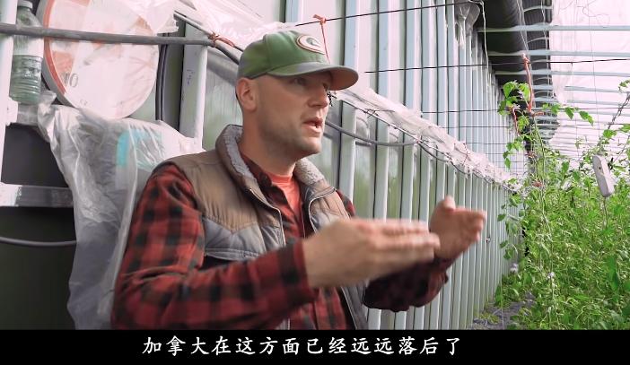 董菜菜真名,董菜菜抖音