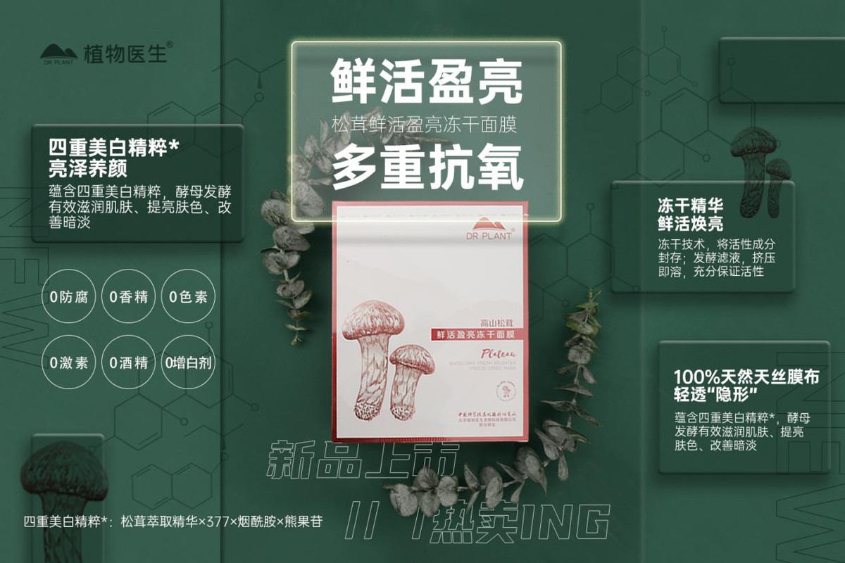 松茸在日本的神菌,高山松茸植物医生怎么用