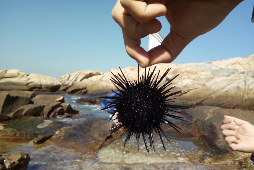 距离珠海最近的岛屿,珠海马尔代夫海岛
