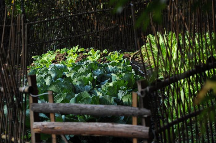 三爷爷最新视频,三爷爷过得怎么样